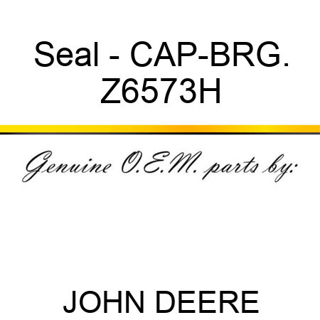 Seal - CAP-BRG. Z6573H