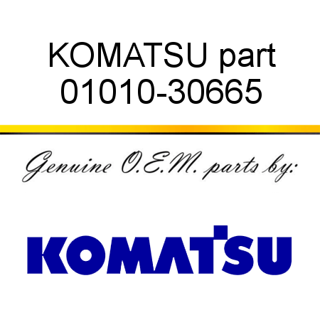 KOMATSU part 01010-30665