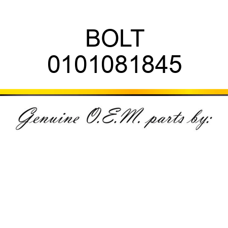 BOLT 0101081845