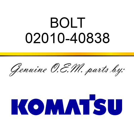 BOLT 02010-40838