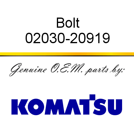 Bolt 02030-20919