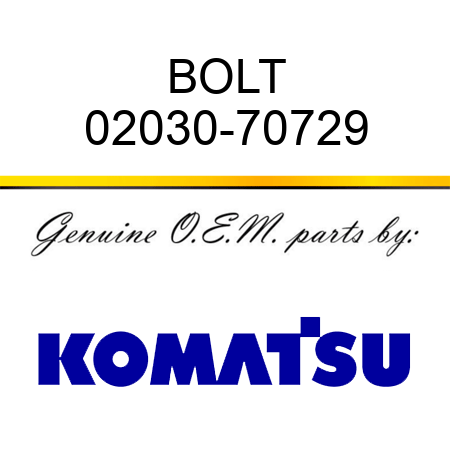 BOLT 02030-70729