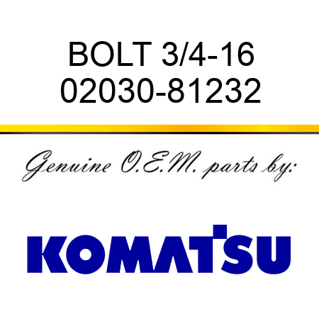 BOLT 3/4-16 02030-81232