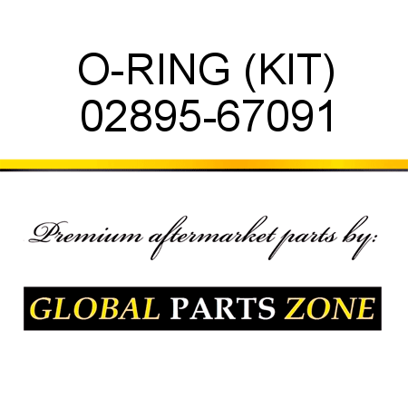 O-RING (KIT) 02895-67091