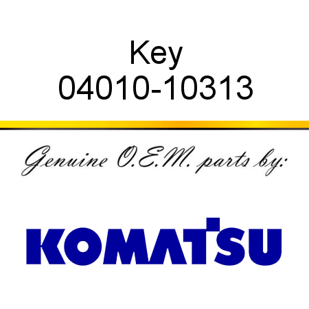 Key 04010-10313