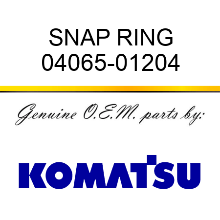 SNAP RING 04065-01204