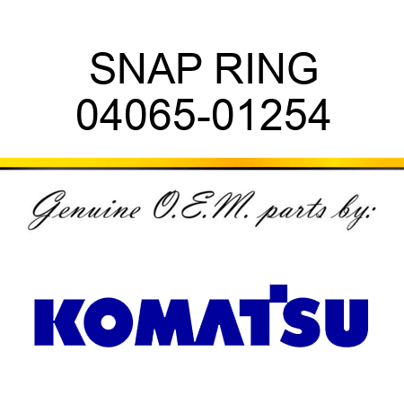 SNAP RING 04065-01254