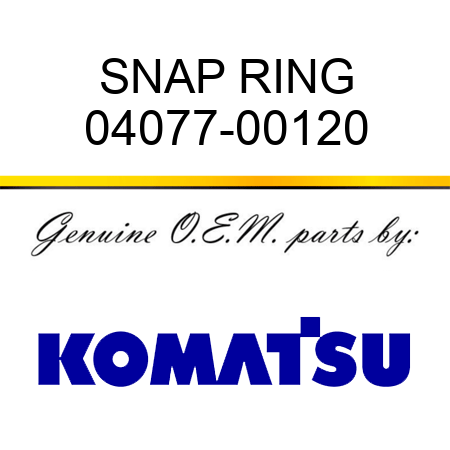 SNAP RING 04077-00120