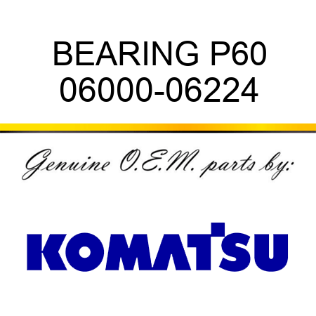 BEARING P60 06000-06224