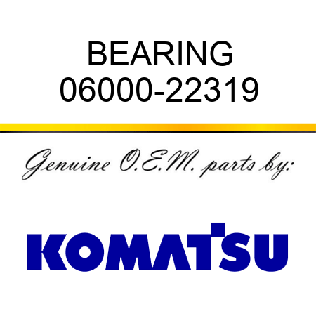 BEARING 06000-22319