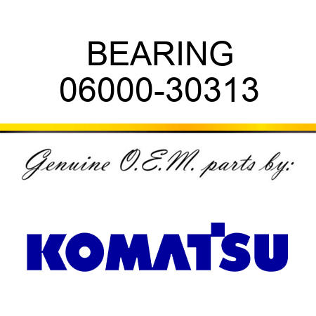 BEARING 06000-30313