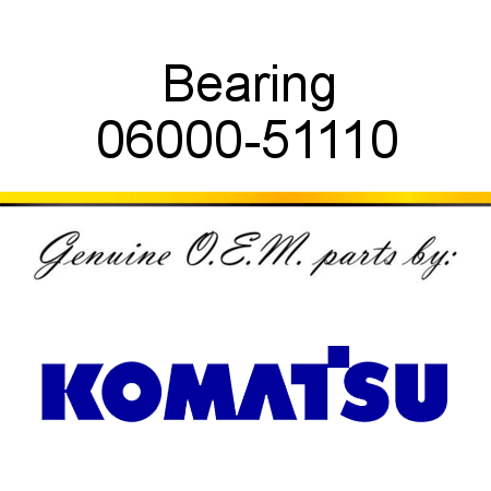 Bearing 06000-51110