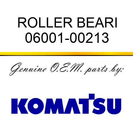 ROLLER BEARI 06001-00213