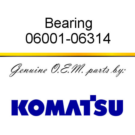 Bearing 06001-06314