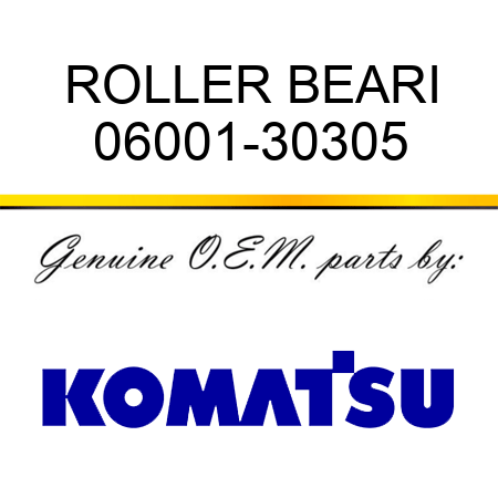 ROLLER BEARI 06001-30305