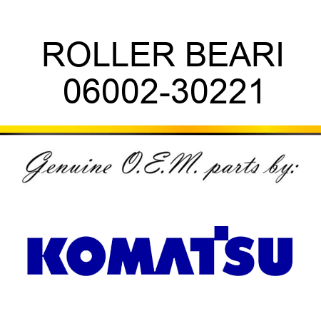 ROLLER BEARI 06002-30221