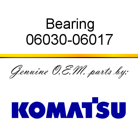 Bearing 06030-06017