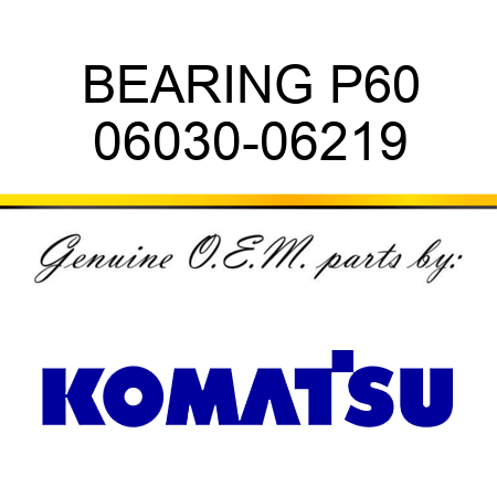 BEARING P60 06030-06219