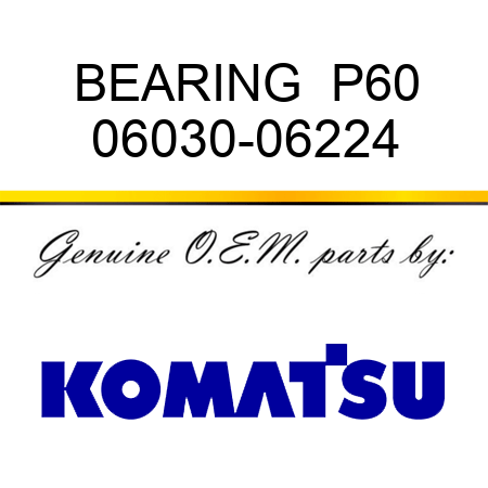 BEARING  P60 06030-06224