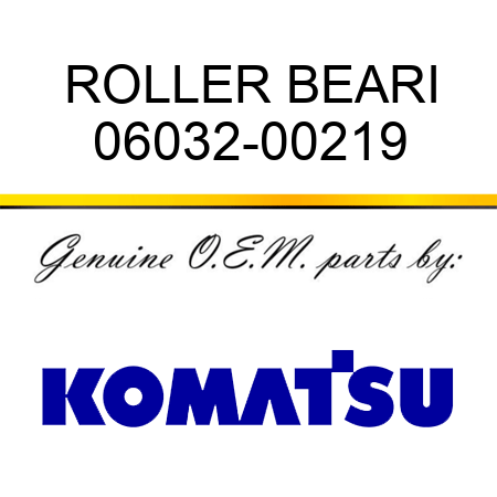 ROLLER BEARI 06032-00219