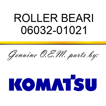 ROLLER BEARI 06032-01021