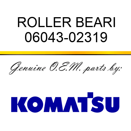 ROLLER BEARI 06043-02319