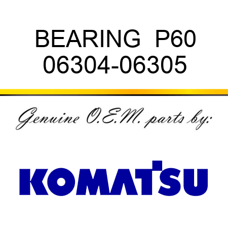 BEARING  P60 06304-06305