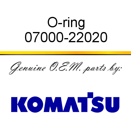 O-ring 07000-22020