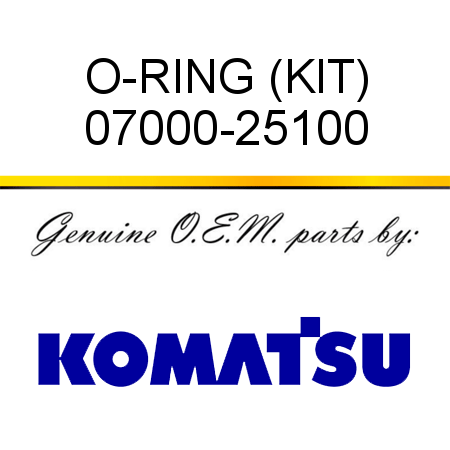 O-RING (KIT) 07000-25100
