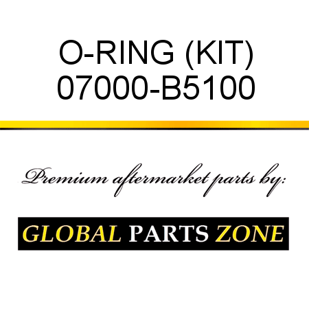 O-RING (KIT) 07000-B5100