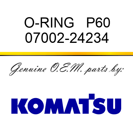 O-RING   P60 07002-24234