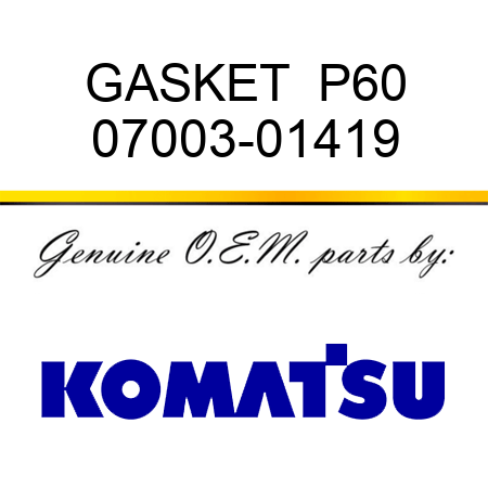 GASKET  P60 07003-01419