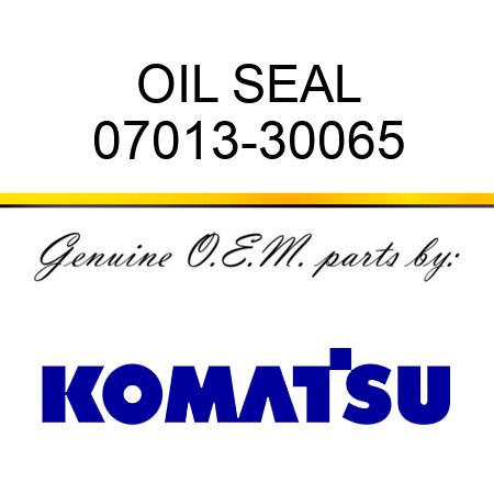 OIL SEAL 07013-30065