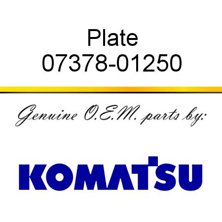 Plate 07378-01250