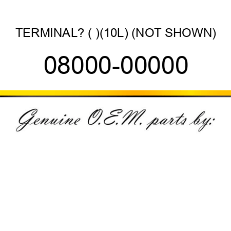 TERMINAL? (+),(10L) (NOT SHOWN) 08000-00000