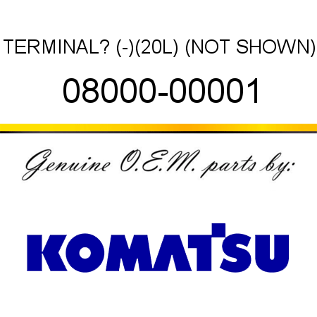 TERMINAL? (-),(20L) (NOT SHOWN) 08000-00001