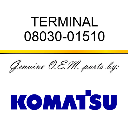 TERMINAL 08030-01510