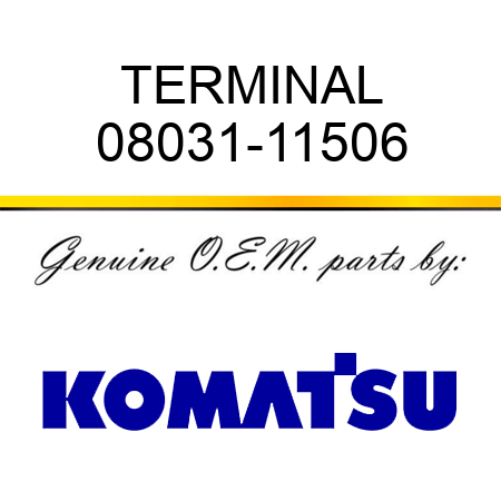 TERMINAL 08031-11506