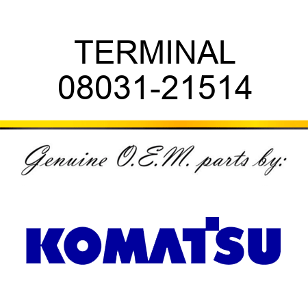 TERMINAL 08031-21514