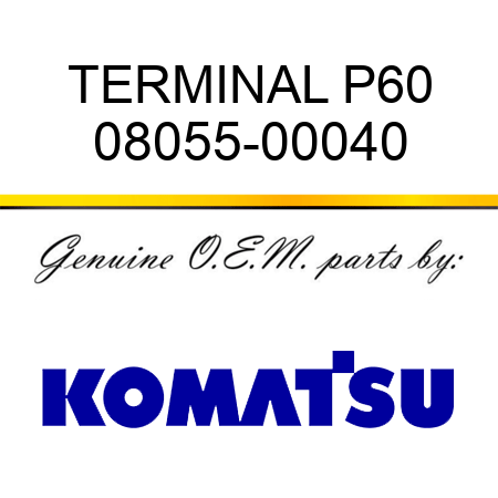 TERMINAL P60 08055-00040