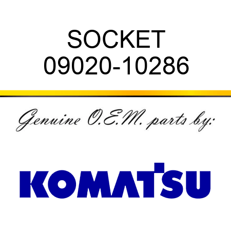 SOCKET 09020-10286