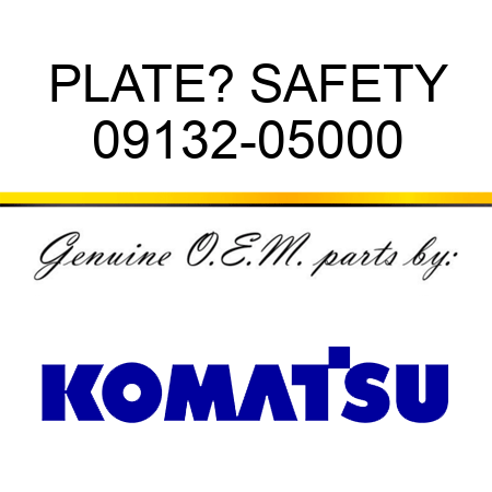 PLATE? SAFETY 09132-05000