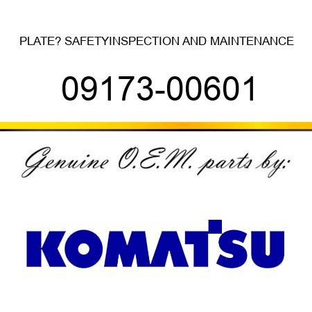 PLATE? SAFETY,INSPECTION AND MAINTENANCE 09173-00601