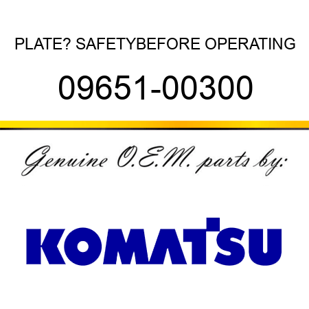 PLATE? SAFETY,BEFORE OPERATING 09651-00300