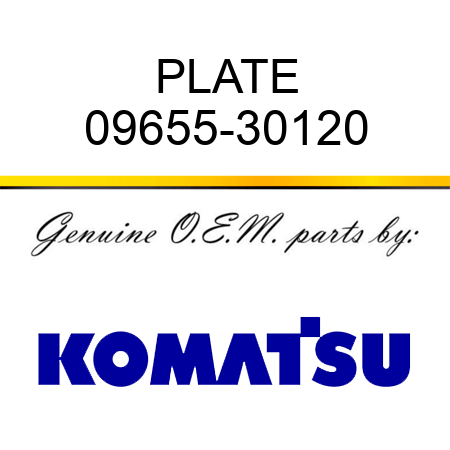 PLATE 09655-30120