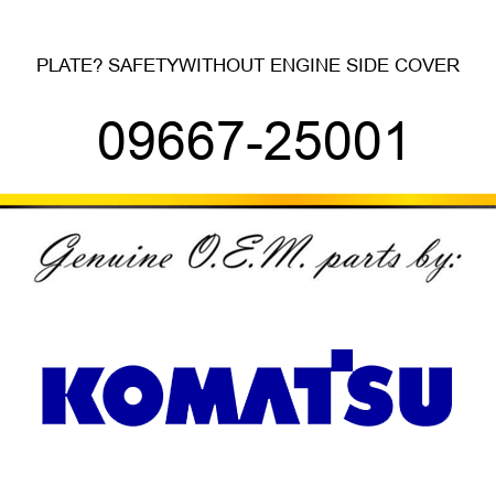 PLATE? SAFETY,WITHOUT ENGINE SIDE COVER 09667-25001