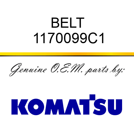 BELT 1170099C1