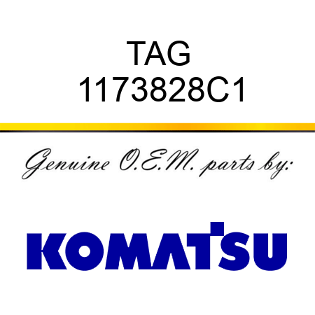 TAG 1173828C1