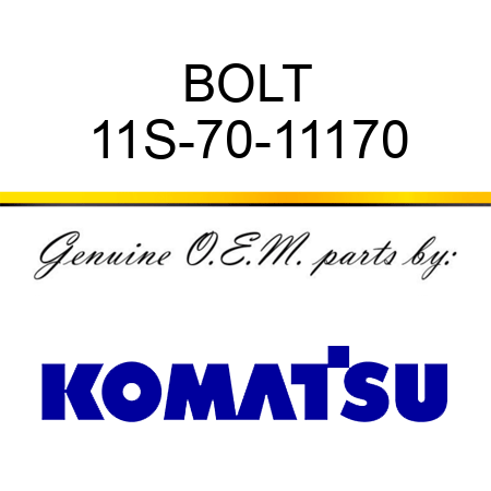 BOLT 11S-70-11170