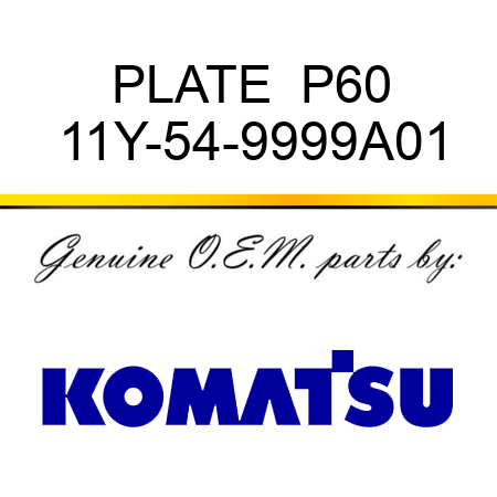 PLATE  P60 11Y-54-9999A01